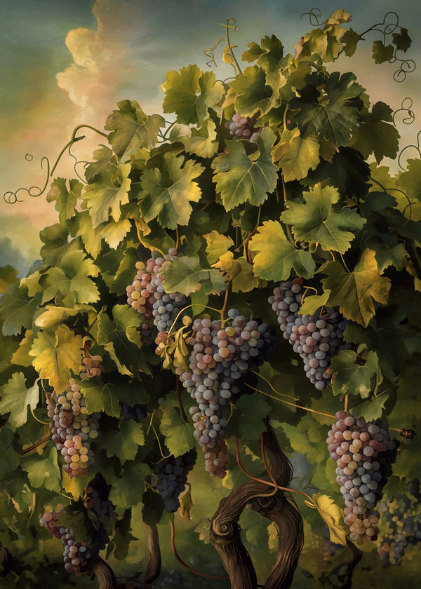 Grapes on the Vine