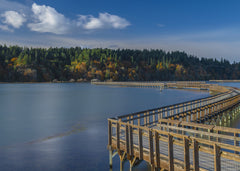 Autumn’s Gentle Passage