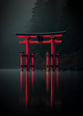 Misty Torii Gate
