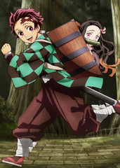 Tanjiro Kamado and Nezuko Kamado, Demon Slayer Kimetsu no Yaiba