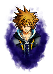 Darkness Sora, Kingdom Hearts