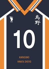 Karasuno Jersey - Number 10