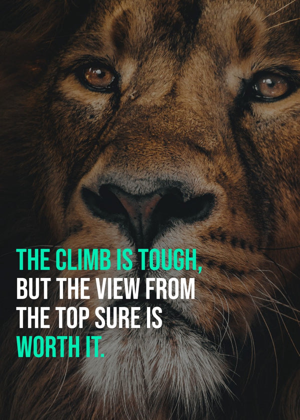 Lion quote