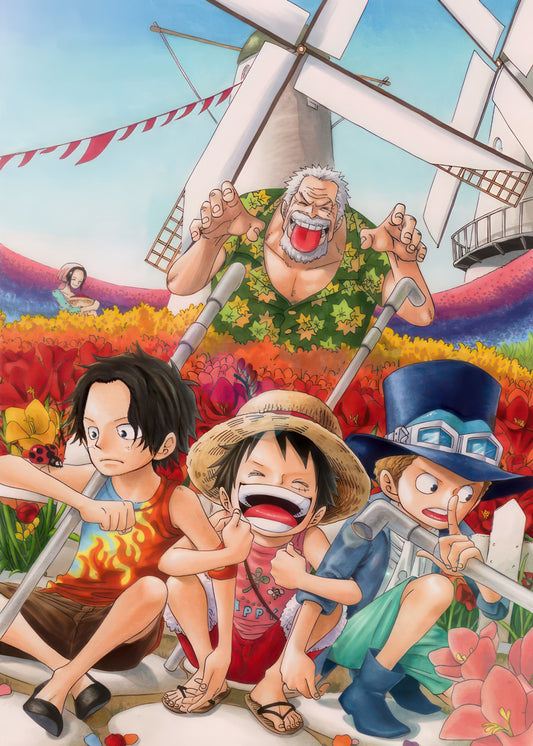 One piece 