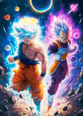 Goku and Vegeta, Dragon ball