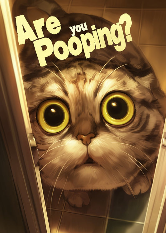 Curious Cat Intrusion