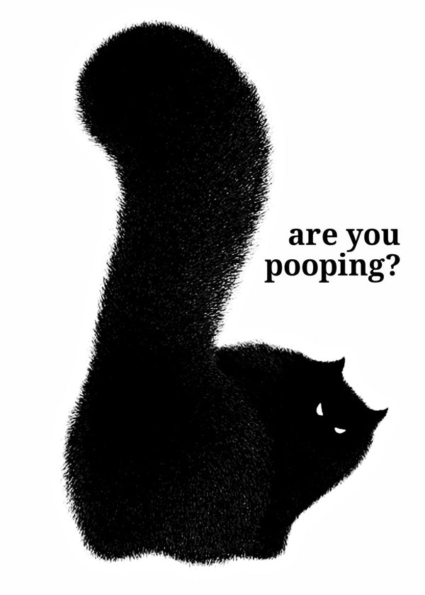 Funny quotes