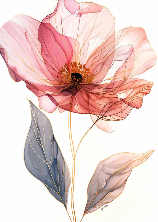 Elegant Transparent Bloom
