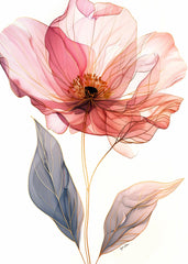 Elegant Transparent Bloom