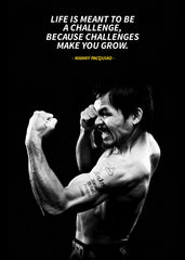 manny pacquiao