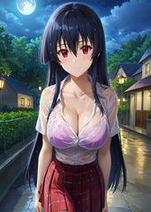Akame ga Kill Night Raid