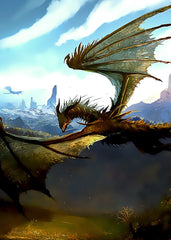 skyrim