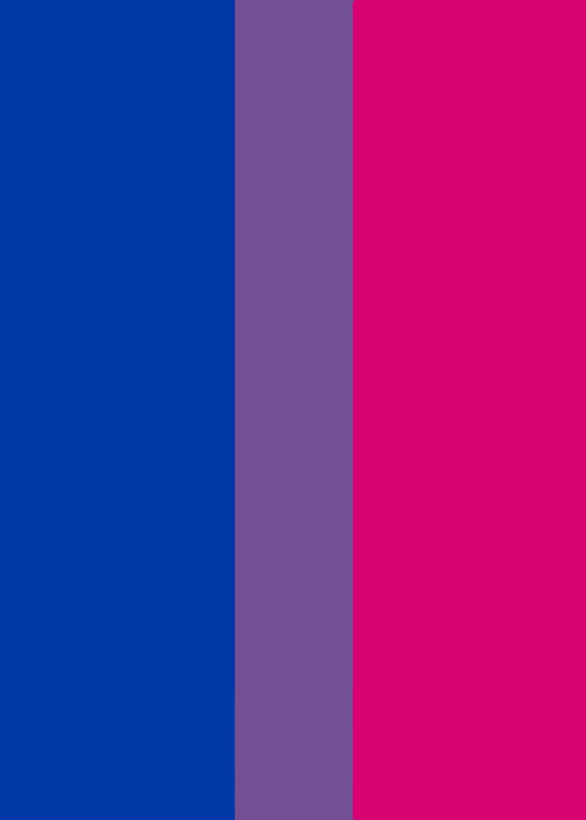 Vertical Bisexual Pride Flag