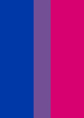 Vertical Bisexual Pride Flag
