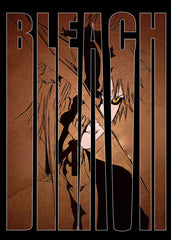 Final transfrom ichigo