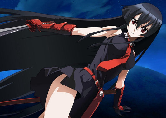 Akame ga Kill!