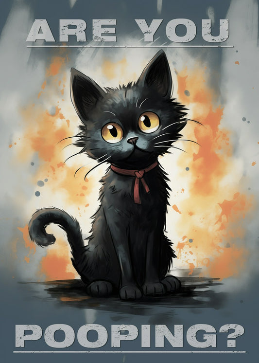 black cat - are you?