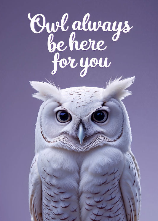 Owl Always be here for you