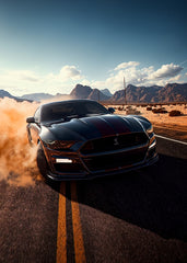 Shelby GT500 Dust Desert 