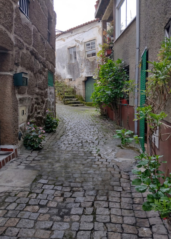Santar Village, Portugal