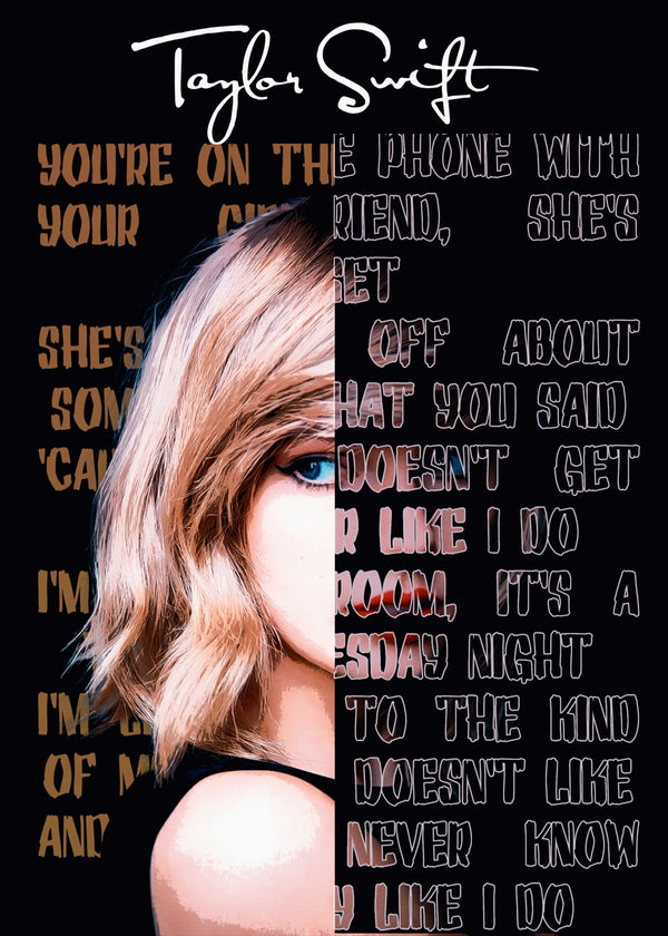 taylor swift belong with me