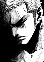 Roronoa zoro, One Piece