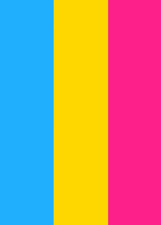 Pansexual Pride Flag Vertical