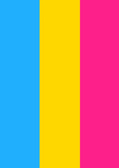 Pansexual Pride Flag Vertical