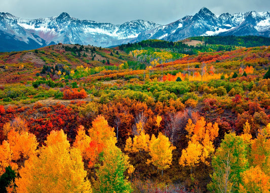 Mountains and forest in autumn