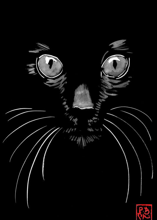 Black Cat Japanese Style