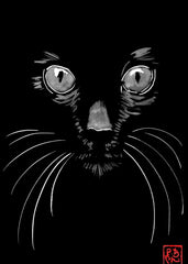 Black Cat Japanese Style