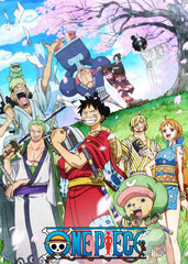 One piece 