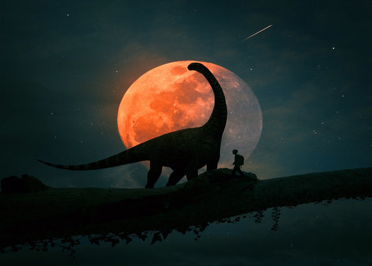 Dinosaur kid discover moon 