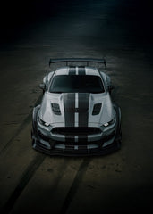 Mustang