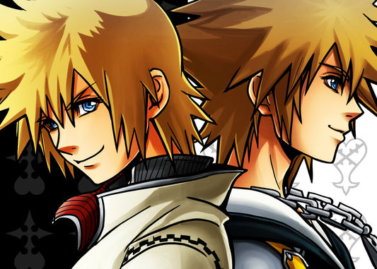 Roxas and Sora, Kingdom Hearts