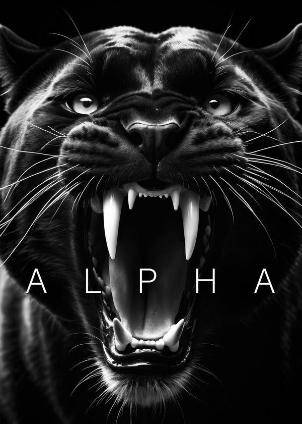 Black panther angry alpha