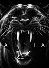 Black panther angry alpha