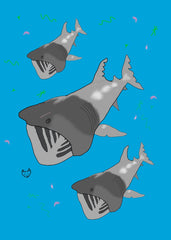 Feeding Basking Sharks