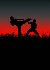 Martial art 
