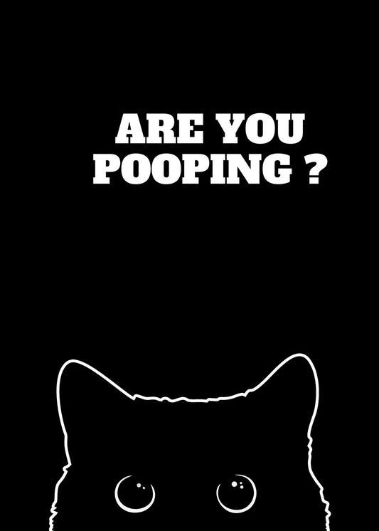 Black Cat Are you pooping 