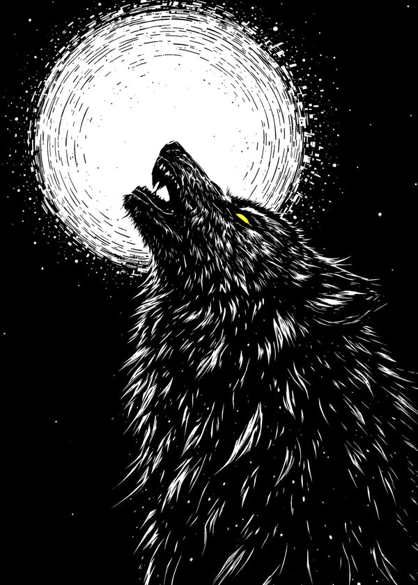 Black and white wolf