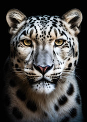 A Leopard