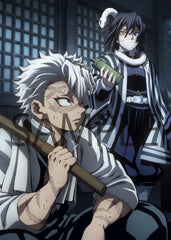 Demon slayer Kimetsu no yaiba