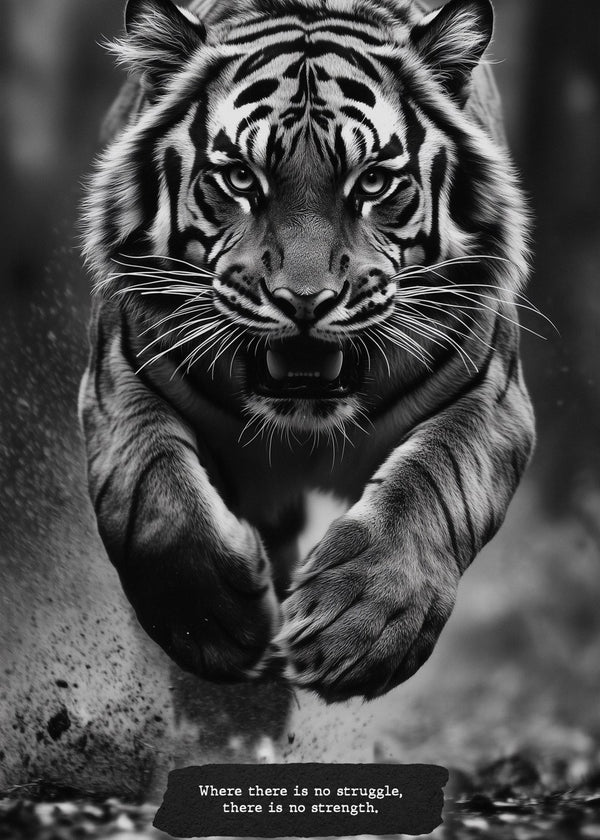 Monochrome Tiger Pounce