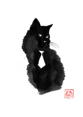 Black Cat White tie