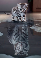 Kitten's Tiger Reflection