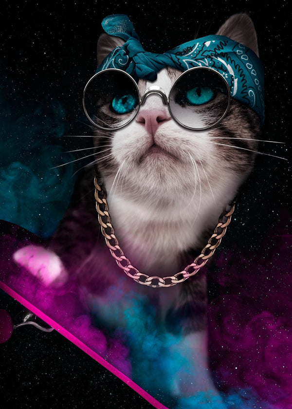 Cosmic Cat