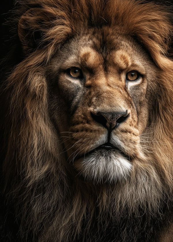 Lion, The King Of The Wild