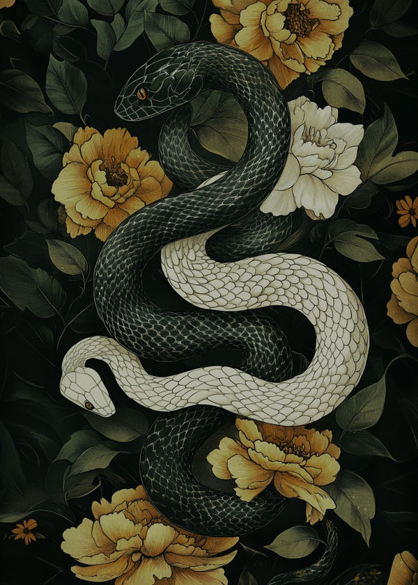 White Snake Black Snake