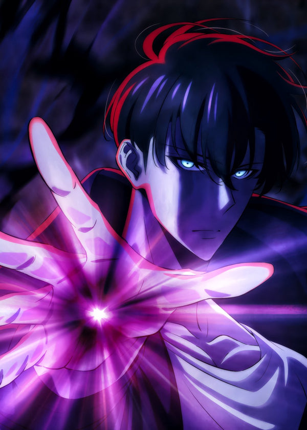 Sung Jin Woo, Solo Leveling